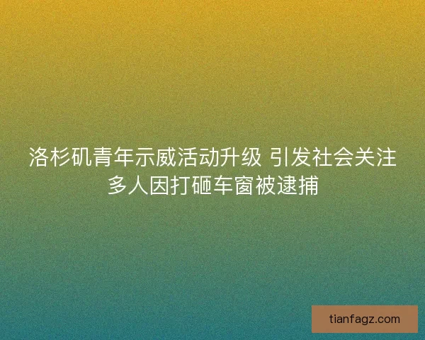 洛杉矶青年示威活动升级 引发社会关注多人因打砸车窗被逮捕
