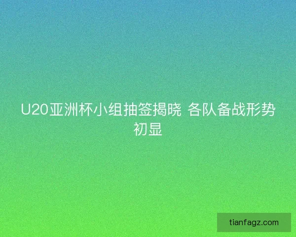 U20亚洲杯小组抽签揭晓 各队备战形势初显